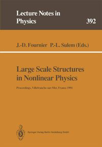 Produktbild: Large Scale Structures in Nonlinear Physics