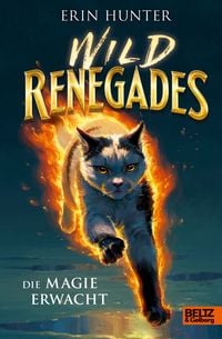 Produktbild: Wild Renegades - Die Magie erwacht