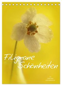 Produktbild: Filigrane Sch&ouml;nheiten 2027 (Tischkalender 2027 DIN A5 hoch), CALVENDO Monatskalender