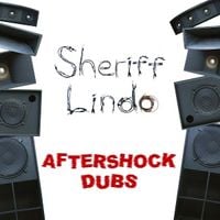Produktbild: Aftershock Dubs