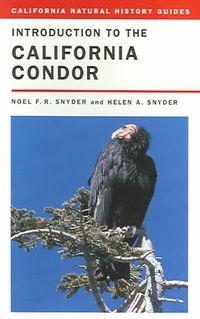 Produktbild: Introduction to the California Condor