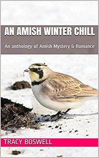 Produktbild: An Amish Winter Chill