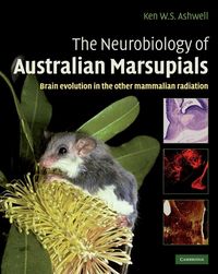 Produktbild: Neurobiology of Australian Marsupials