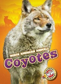Produktbild: Coyotes