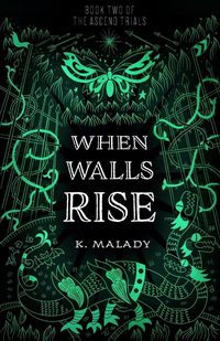 Produktbild: When Walls Rise