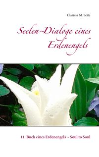 Produktbild: Seelen-Dialoge eines Erdenengels