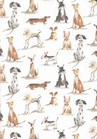 Produktbild: SM Jrnl Dog Days