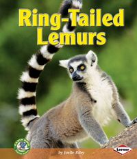 Produktbild: Early Bird Ring-Tailed Lemurs