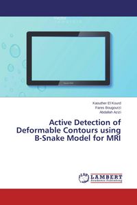 Produktbild: Active Detection of Deformable Contours using B-Snake Model for MRI