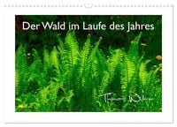 Produktbild: Der Wald im Laufe des Jahres (Wandkalender 2026 DIN A3 quer), CALVENDO Monatskalender