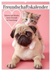 Produktbild: Freundschaftskalender - Katzen und Hunde, beste Freunde in Umarmung (Wandkalender 2026 DIN A2 hoch), CALVENDO Monatskalender