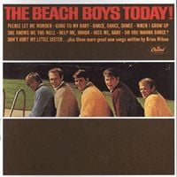 Produktbild: Beach Boys, T: Today!/Summer Days (And Summer Nights!!)