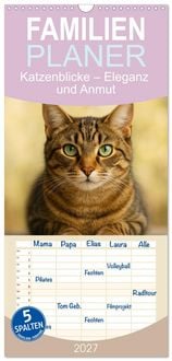 Produktbild: Familienplaner 2027 - Katzenblicke &ndash; Eleganz und Anmut mit 5 Spalten (Wandkalender, 21 x 45 cm) CALVENDO