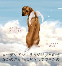 Produktbild: ローデシアン・リッジバックのせなかのさか毛はどうしてできたの