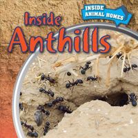 Produktbild: Inside Anthills