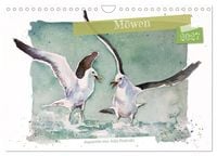 Produktbild: M&ouml;wen - Aquarelle von Julia Pasinski (Wandkalender 2027 DIN A4 quer), CALVENDO Monatskalender