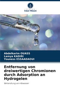 Produktbild: Entfernung von dreiwertigen Chromionen durch Adsorption an Hydrogelen