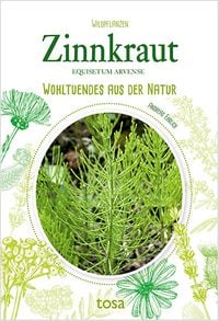 Produktbild: Zinnkraut