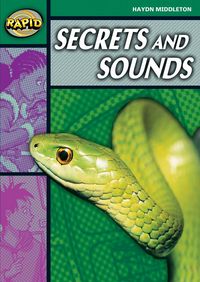 Produktbild: Rapid Reading: Secrets & Sounds (Stage 5, Level 5b)