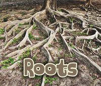 Produktbild: All About Roots