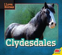 Produktbild: Clydesdales