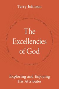 Produktbild: The Excellencies of God