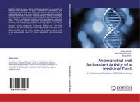 Produktbild: Antimicrobial and Antioxidant Activity of a Medicinal Plant