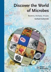 Produktbild: Discover the World of Microbes