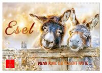 Produktbild: Esel - Wenn Ruhe ein Gesicht h&auml;tte (Wandkalender 2027 DIN A2 quer), CALVENDO Monatskalender