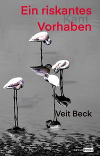 Produktbild: Ein riskantes Vorhaben