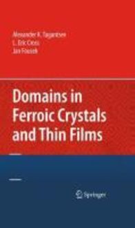 Produktbild: Domains in Ferroic Crystals and Thin Films