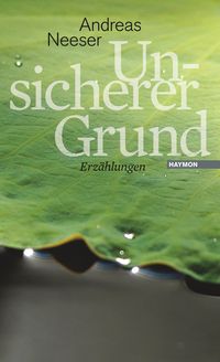 Bild vom Artikel Unsicherer Grund vom Autor Andreas Neeser