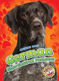 Produktbild: German Shorthaired Pointers