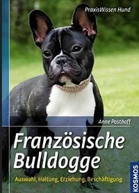 Produktbild: Franz&ouml;sische Bulldogge