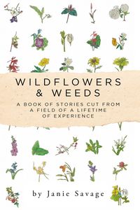 Produktbild: Wildflowers & Weeds