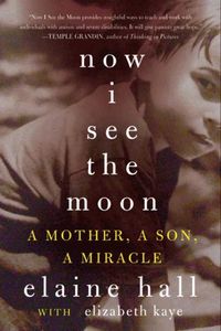 Produktbild: Now I See the Moon