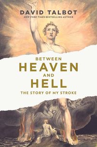 Bild vom Artikel Between Heaven and Hell: The Story of My Stroke vom Autor David Talbot