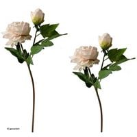 Produktbild: HTI-Living Produkt 38626 Artikel 49978