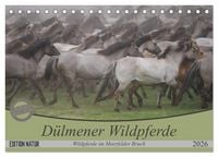 Produktbild: D&uuml;lmener Wildpferde - Wildpferde im Meerfelder Bruch (Tischkalender 2026 DIN A5 quer), CALVENDO Monatskalender