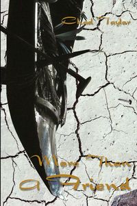 Produktbild: The Spectacle of Intimacy