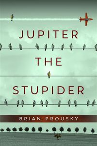 Produktbild: Jupiter the Stupider
