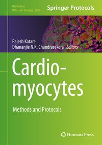 Produktbild: Cardiomyocytes