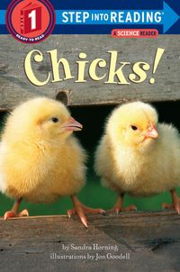 Produktbild: Chicks!