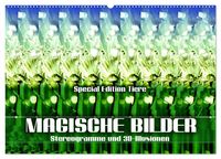 Produktbild: Magische Bilder - Stereogramme und 3D-Illusionen (Wandkalender 2026 DIN A2 quer), CALVENDO Monatskalender