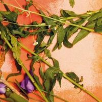 Produktbild: Moore, D: We Used to Bloom