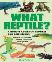 Produktbild: Mattison, C: What Reptile?