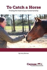 Produktbild: To Catch A Horse: Finding the Heart of Your Horsemanship