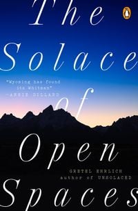 Produktbild: The Solace of Open Spaces