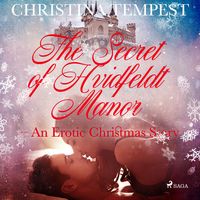 Produktbild: The Secret of Hvidfeldt Manor - An Erotic Christmas Story