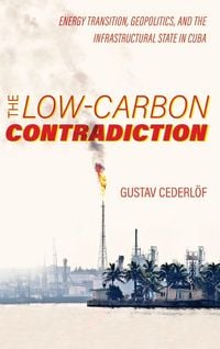 Produktbild: The Low-Carbon Contradiction